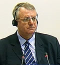 Vojislav &Scaron;e&scaron;elj